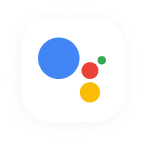 Google Assistant
